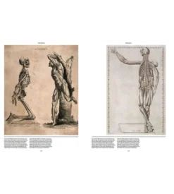 Anatomica, The Exquisite and Unsettling Art of Human Anatomy