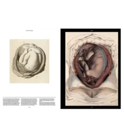 Anatomica, The Exquisite and Unsettling Art of Human Anatomy