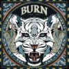 Andreas Preis - Burn Giclee Print