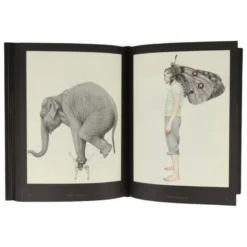 Dark Inspiration : 20th Anniversary Edition - Grotesque Illustrations, Art & Design