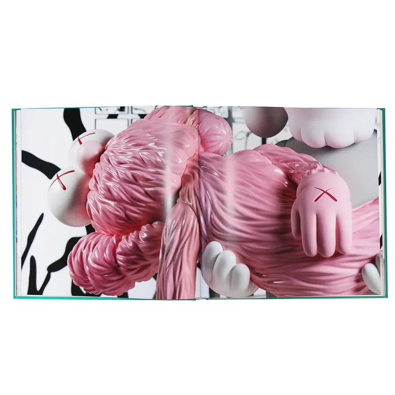 Kaws : Family