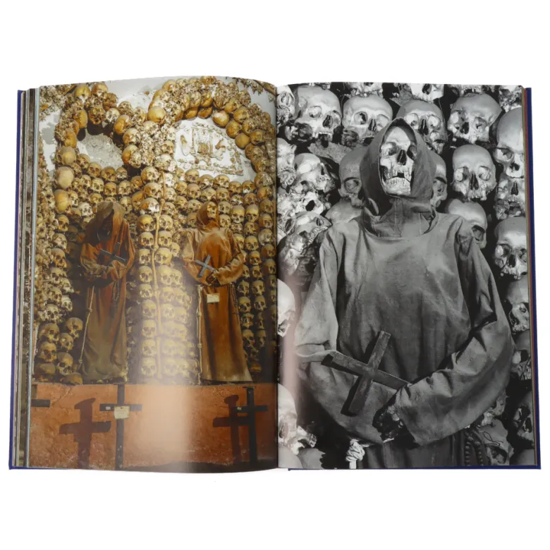 Memento Mori The Dead Among Us (Compact ed)
