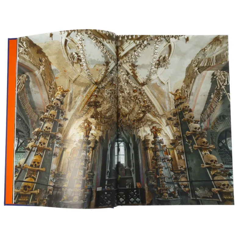 Memento Mori The Dead Among Us (Compact ed)