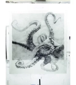 Quentin Garel - Monographie