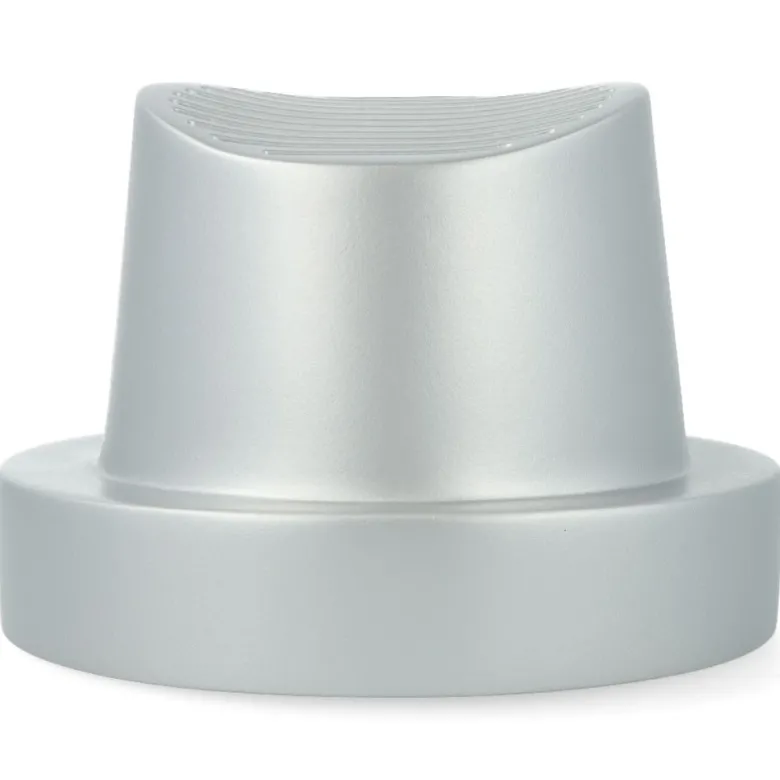 Zertoy - Silver & Black Cap